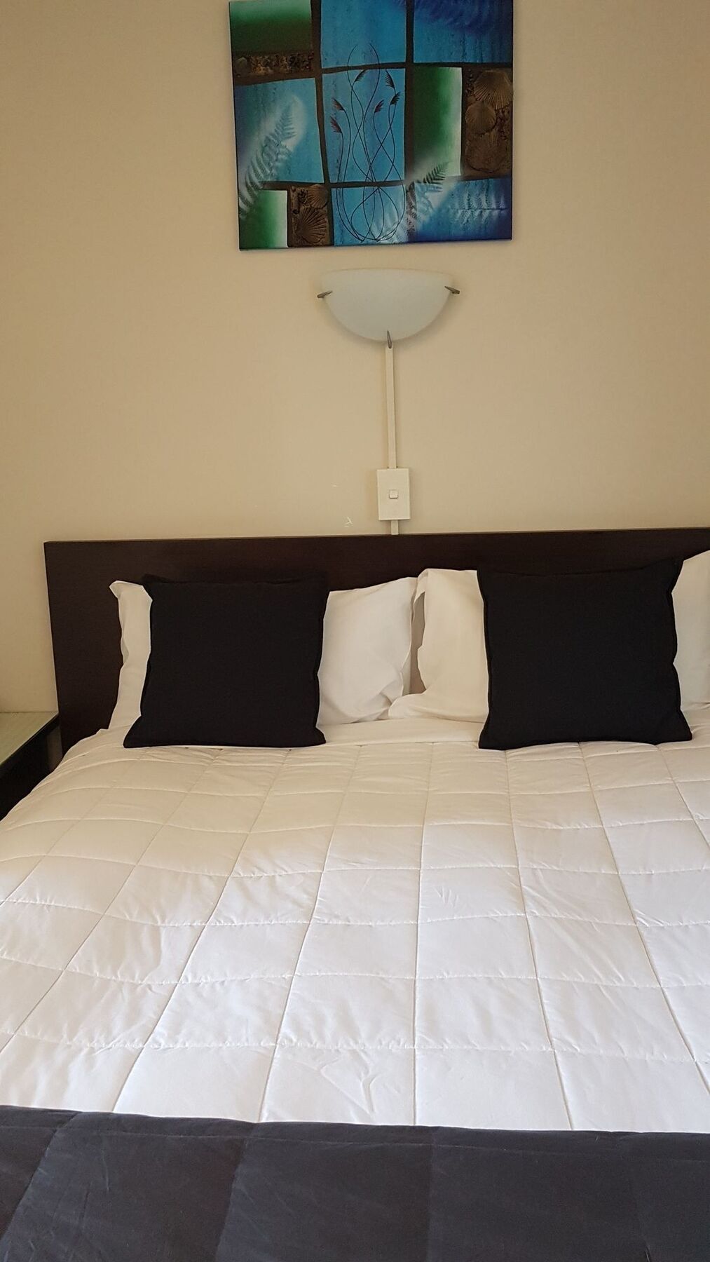 88 Wallace Court Motel Wellington Extérieur photo